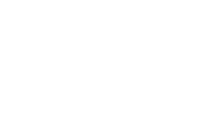 logo_ancollection